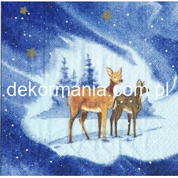 Serwetka    -3115-    , sarenki , zima